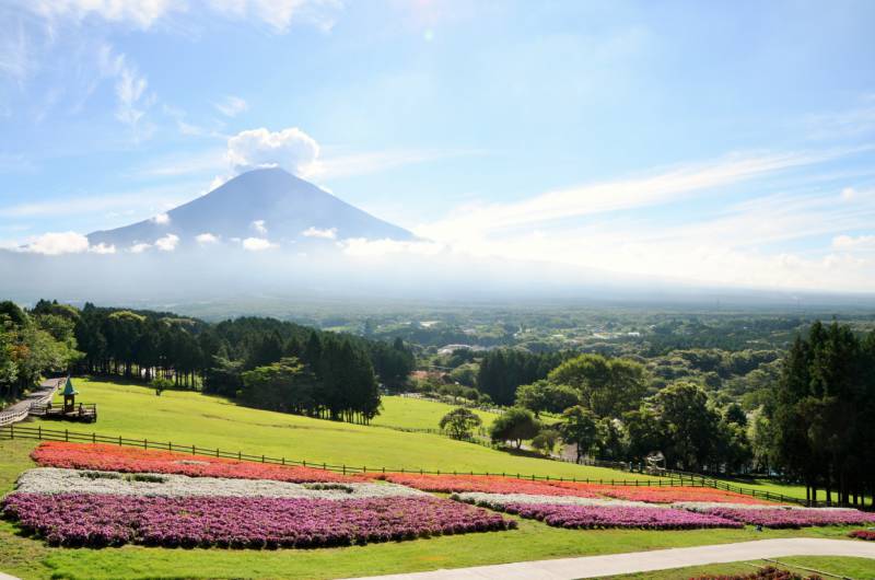 富士山麓 朝霧高原 まかいの牧場 Japan View Study Experience In Japan