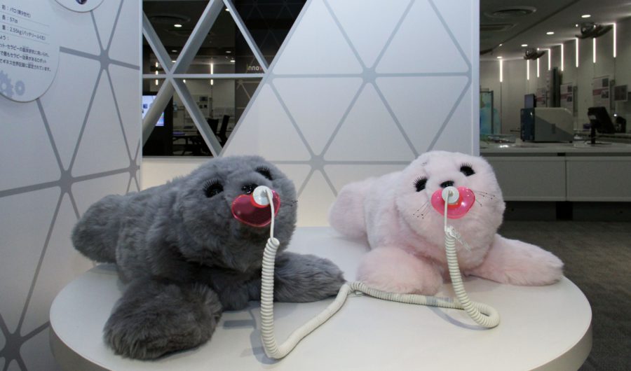 サイエンス スクエア つくば Japan View Study Experience In Japan