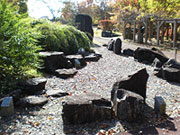 Ruang outdoor Rock Garden