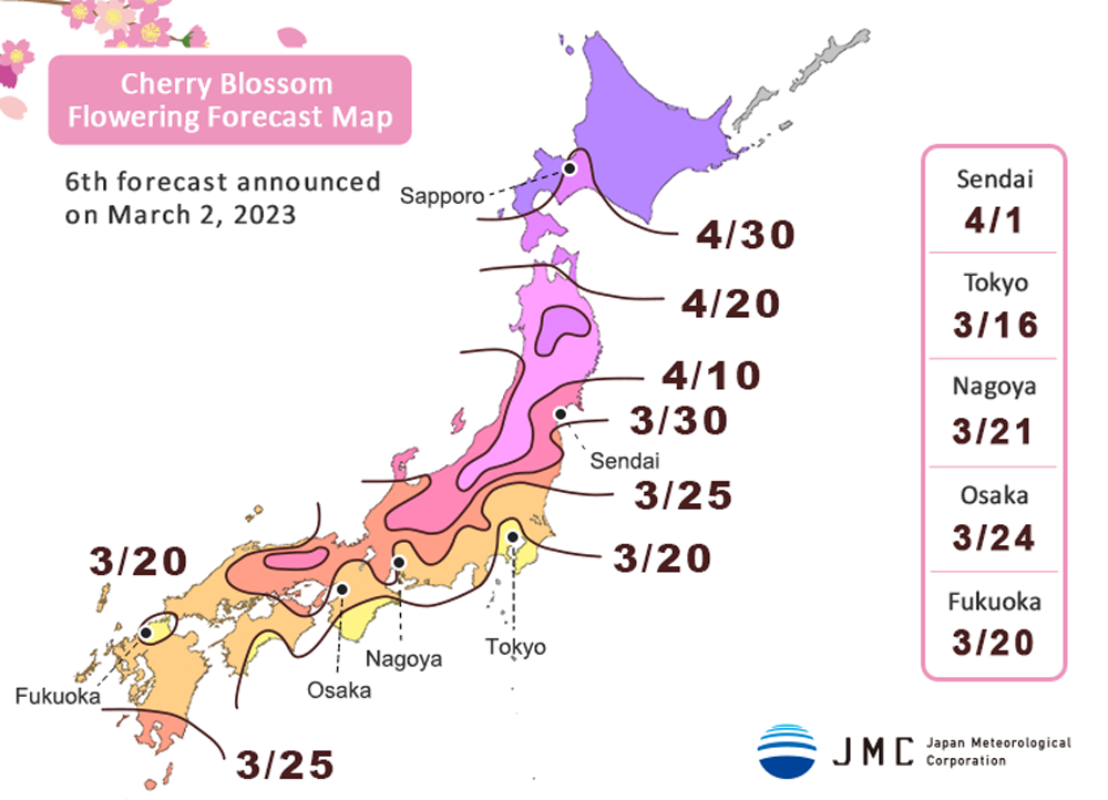 Jadwal Sakura Mekar 2023 | Photo by Japan Meteorogical Corporation (JMC)