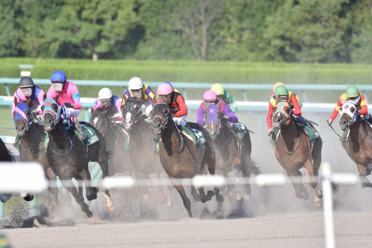 Japanese Derby, Salah Satu Pacuan Kuda Bergengsi di Jepang