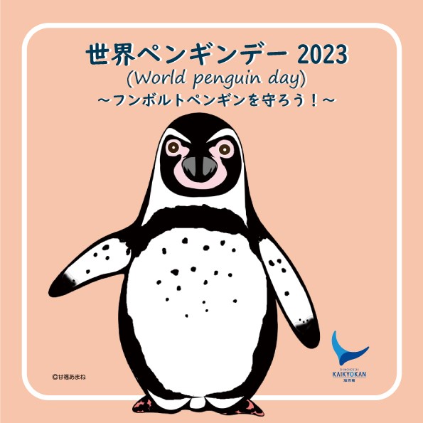 World Penguin Day -  Protect Penguin Humboldt! | Photo by: Kaikyokan