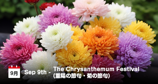 9 September, Rayakan Festival Krisan di Jepang