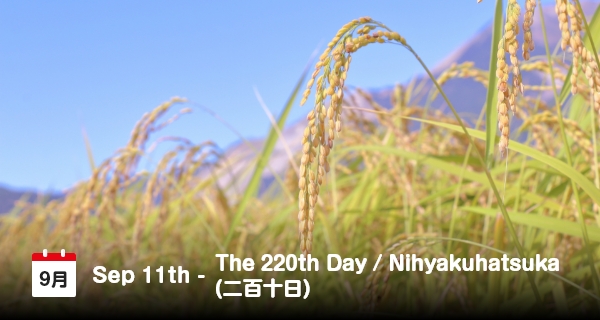 11 September Nihyaku Hatsuka, Hari Ke-220 Setelah Musim Semi