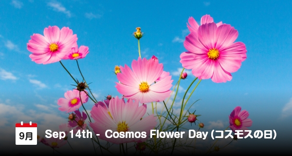 14 September, Hari Bunga Kosmos di Jepan