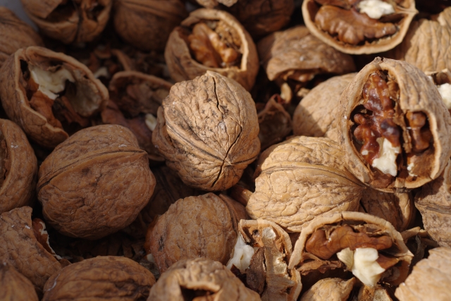 walnut くるみの日 | Photo: Didier (PhotoAC)