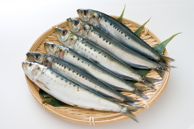 sardine イワシ | Photo: ぷぅ (写真AC)