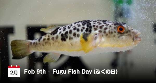 9 Januari, Hari Ikan Fugu di Jepang