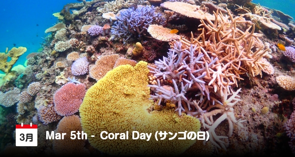 3月5日は「サンゴの日」