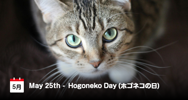 25 Mei, Hogoneko Day