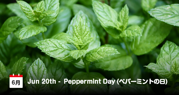 20 Juni, Hari Peppermint